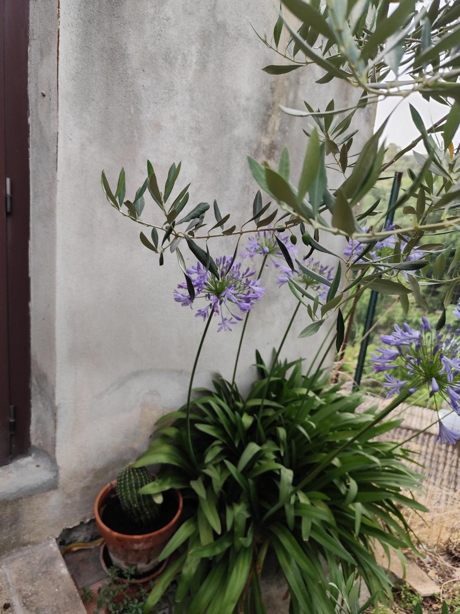 Casa In Antico Borgo Medievale A Tarano Ri, Via Giacomo Leopardi, 15ヴィラ エクステリア 写真